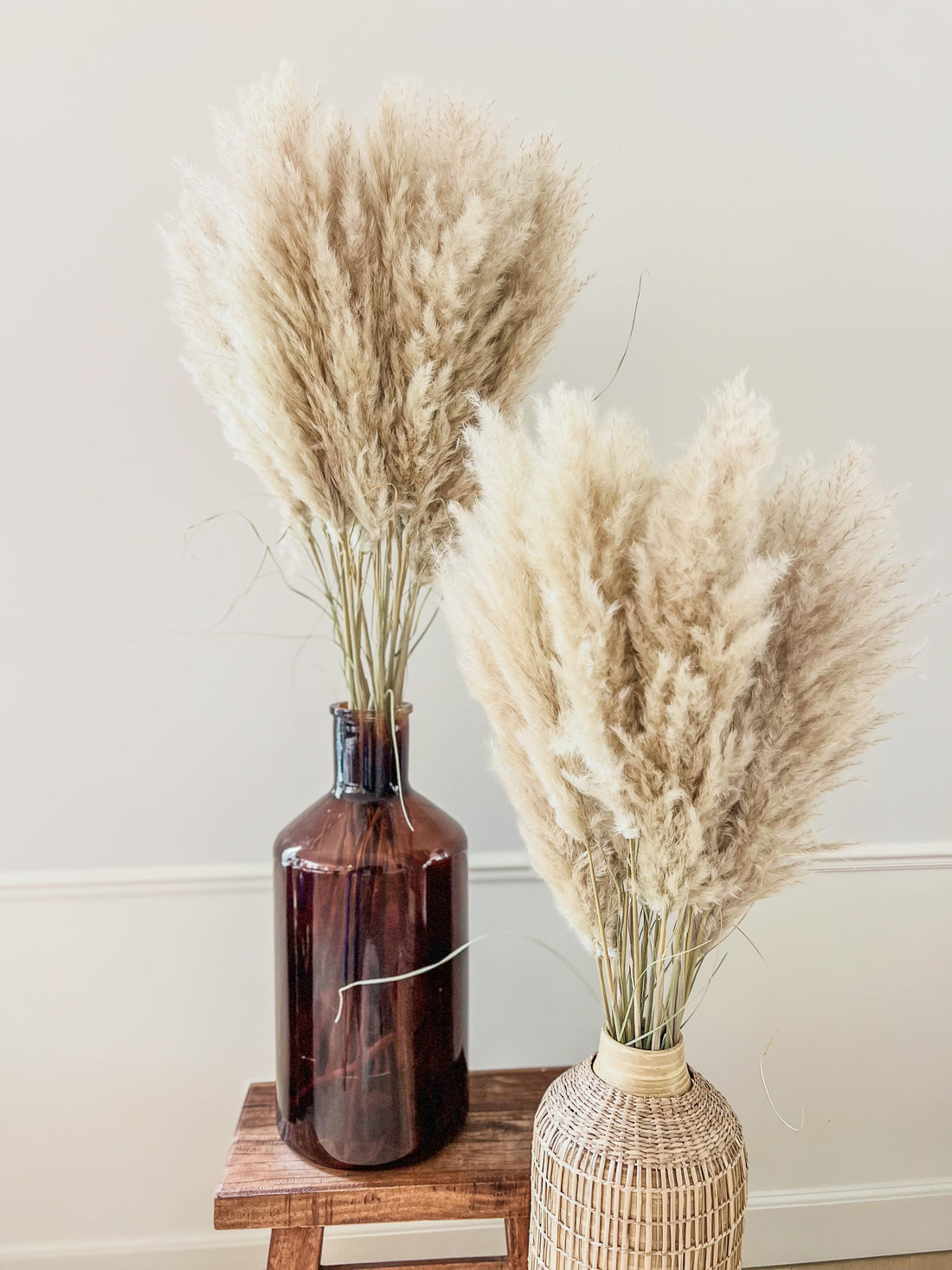 De lengte van pampas pluimen