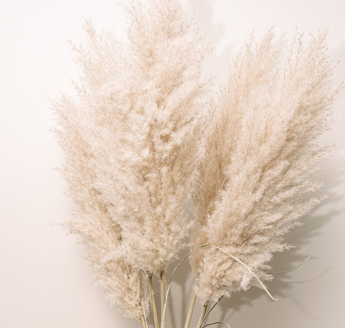 Zo gebruik je pampas pluimen met Kerst: DIY kerstboompjes & kerstkrans Ideeën