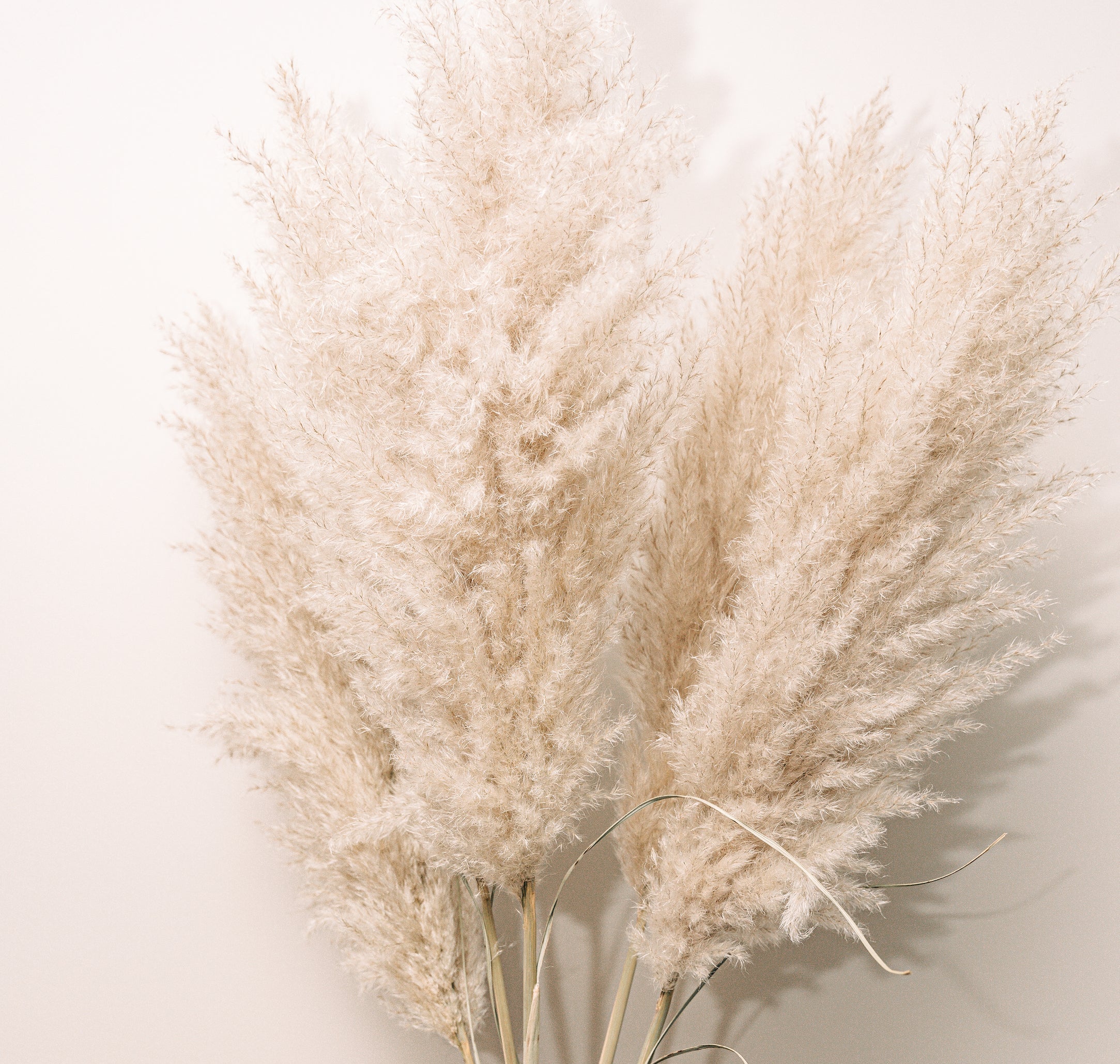 Zo gebruik je pampas pluimen met Kerst: DIY kerstboompjes & kerstkrans Ideeën