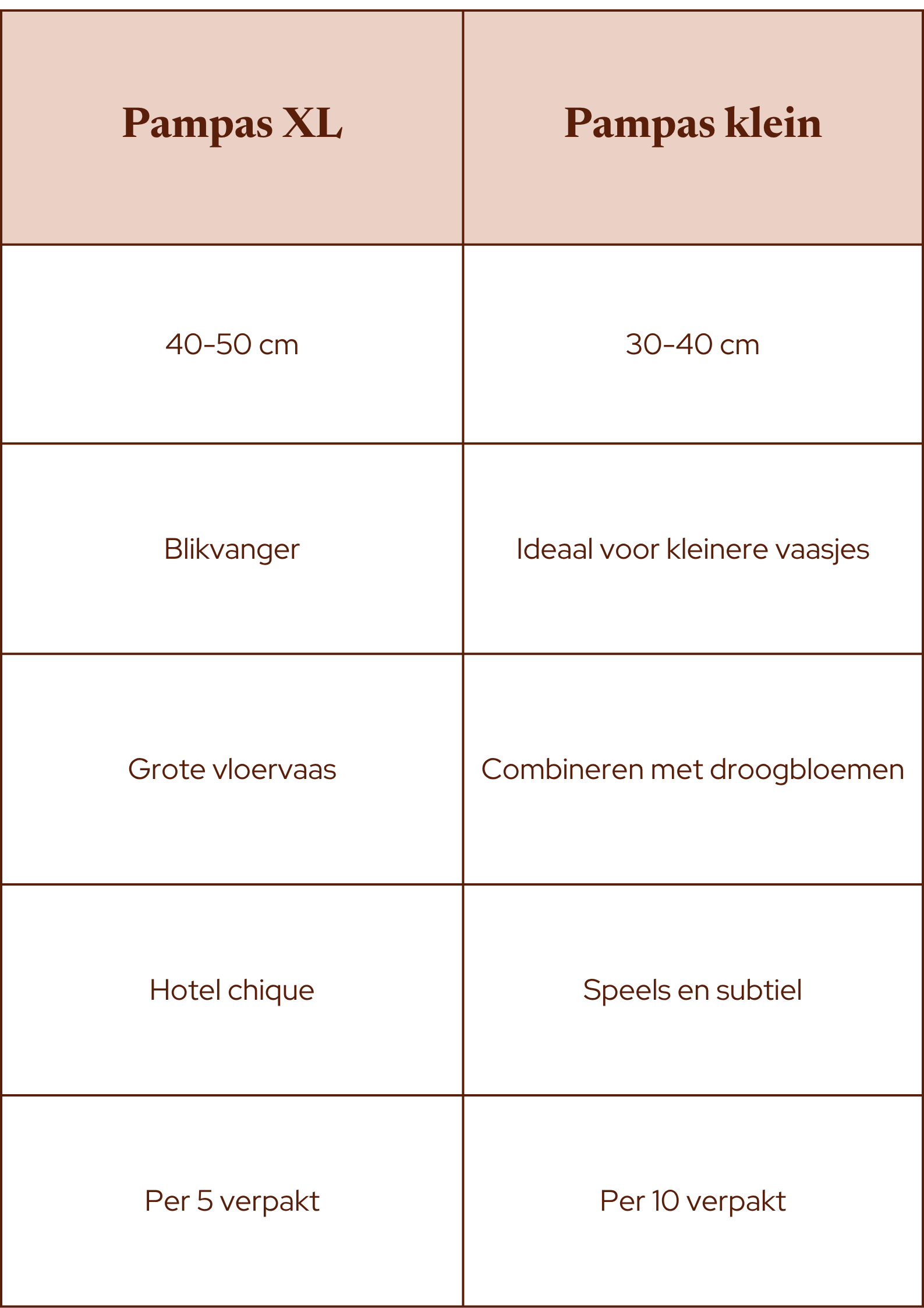 Twijfel je tussen XL of kleine pampas pluimen? Vergelijk de verschillen in formaat, uitstraling en toepassing en kies de perfecte pampas pluimen voor jouw interieur.