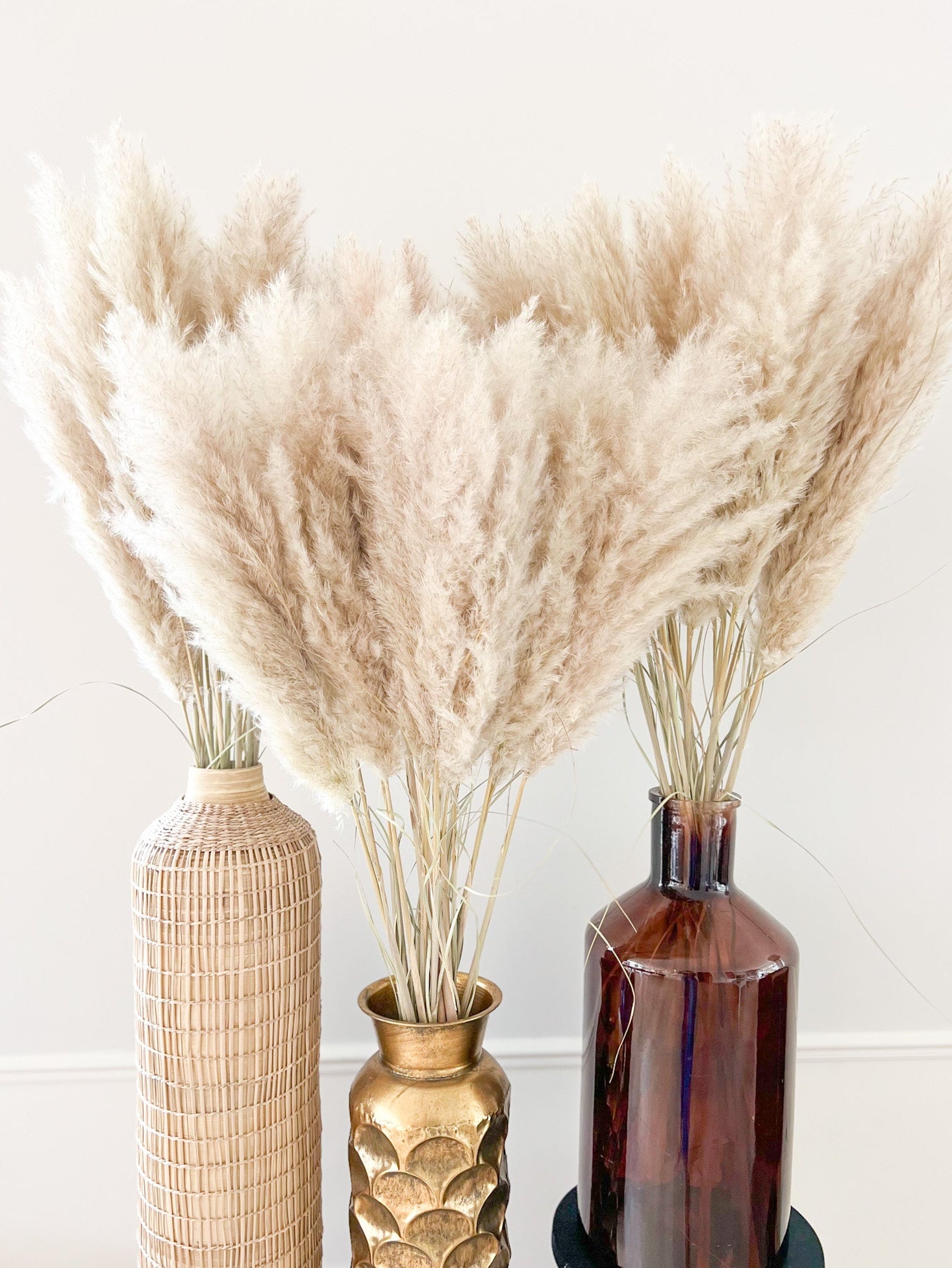 Fluffy pampas pluimen XL en kleine voor een sfeervol interieur