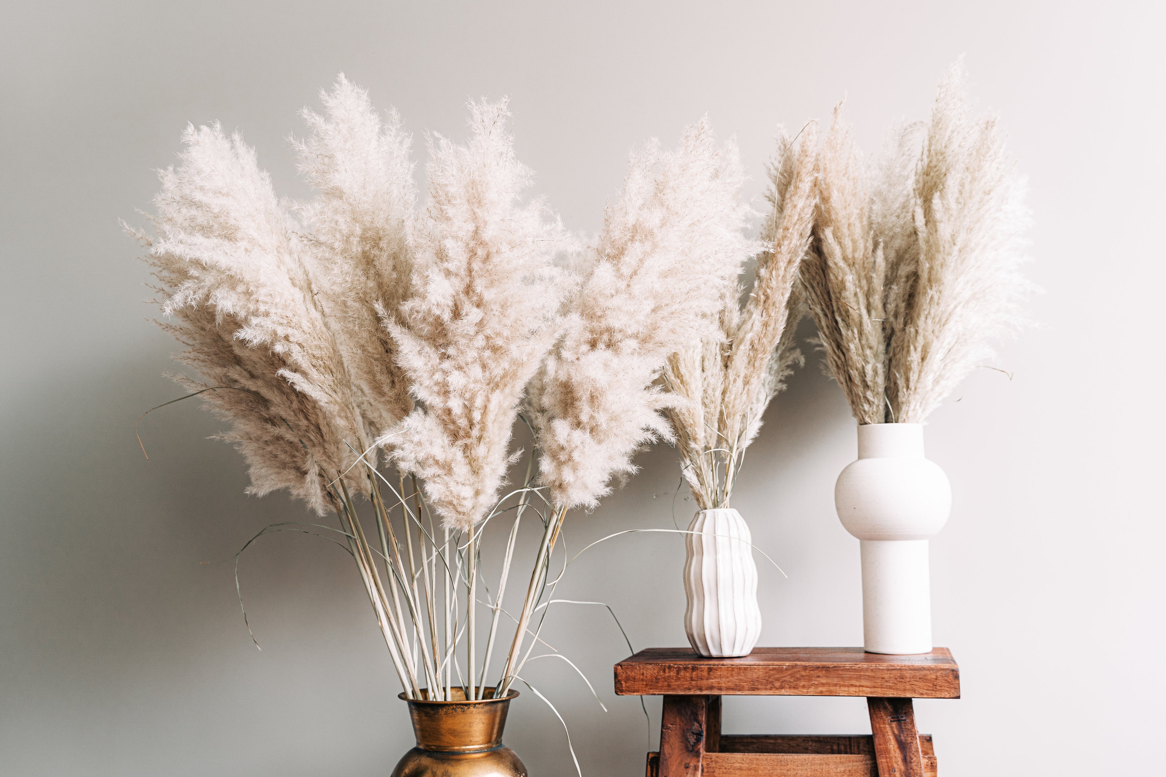 Fluffy pampas pluimen in verschillende maten voor een sfeervol interieur