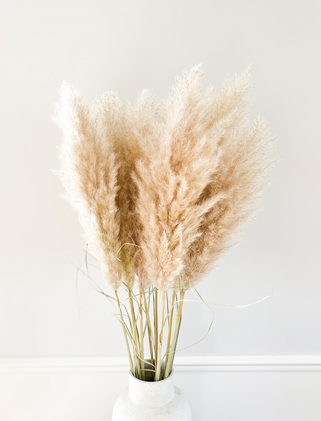 Kleine fluffy pampas pluimen in vaas