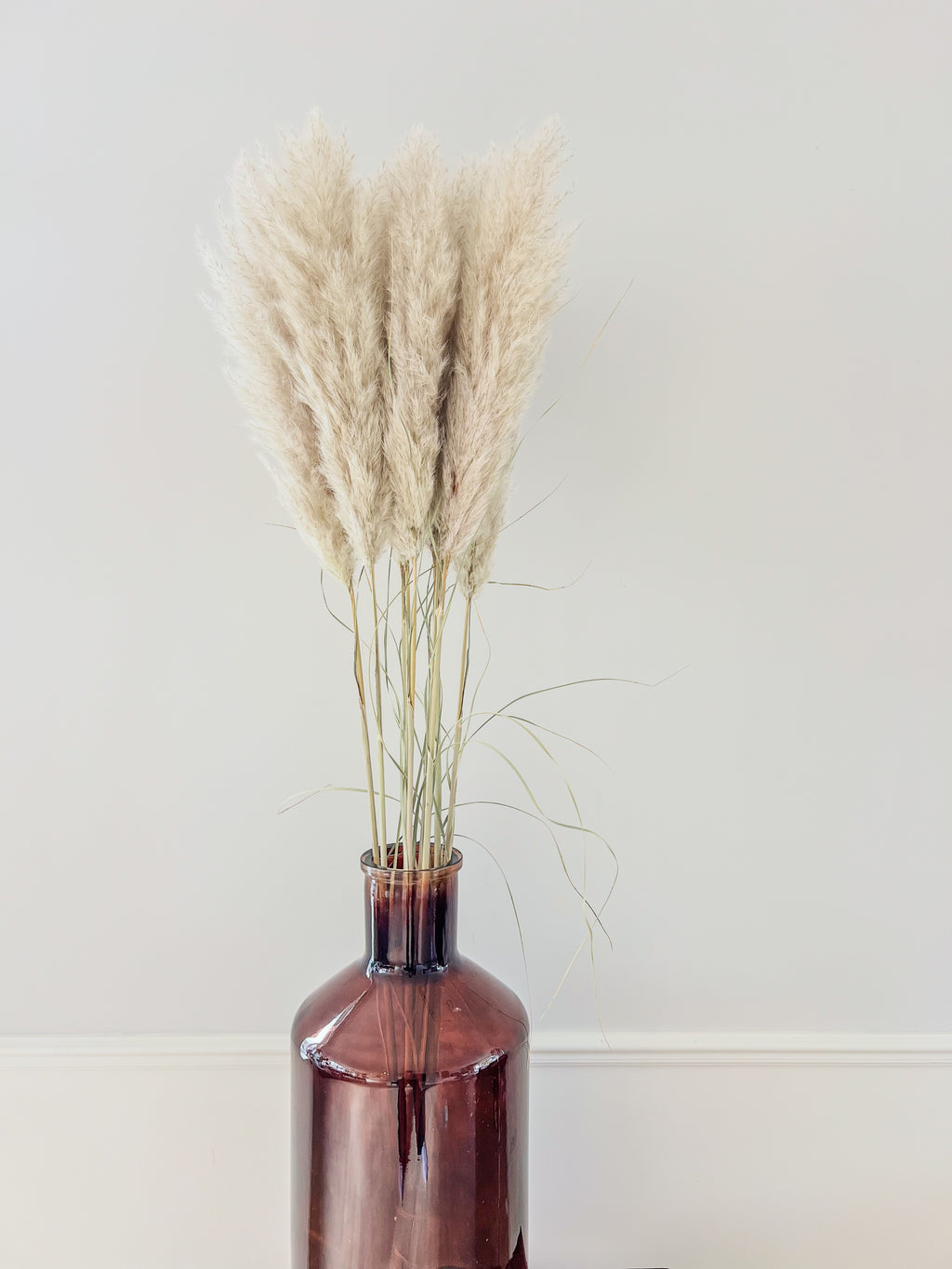Naturel pampas pluimen klein formaat met veel volume