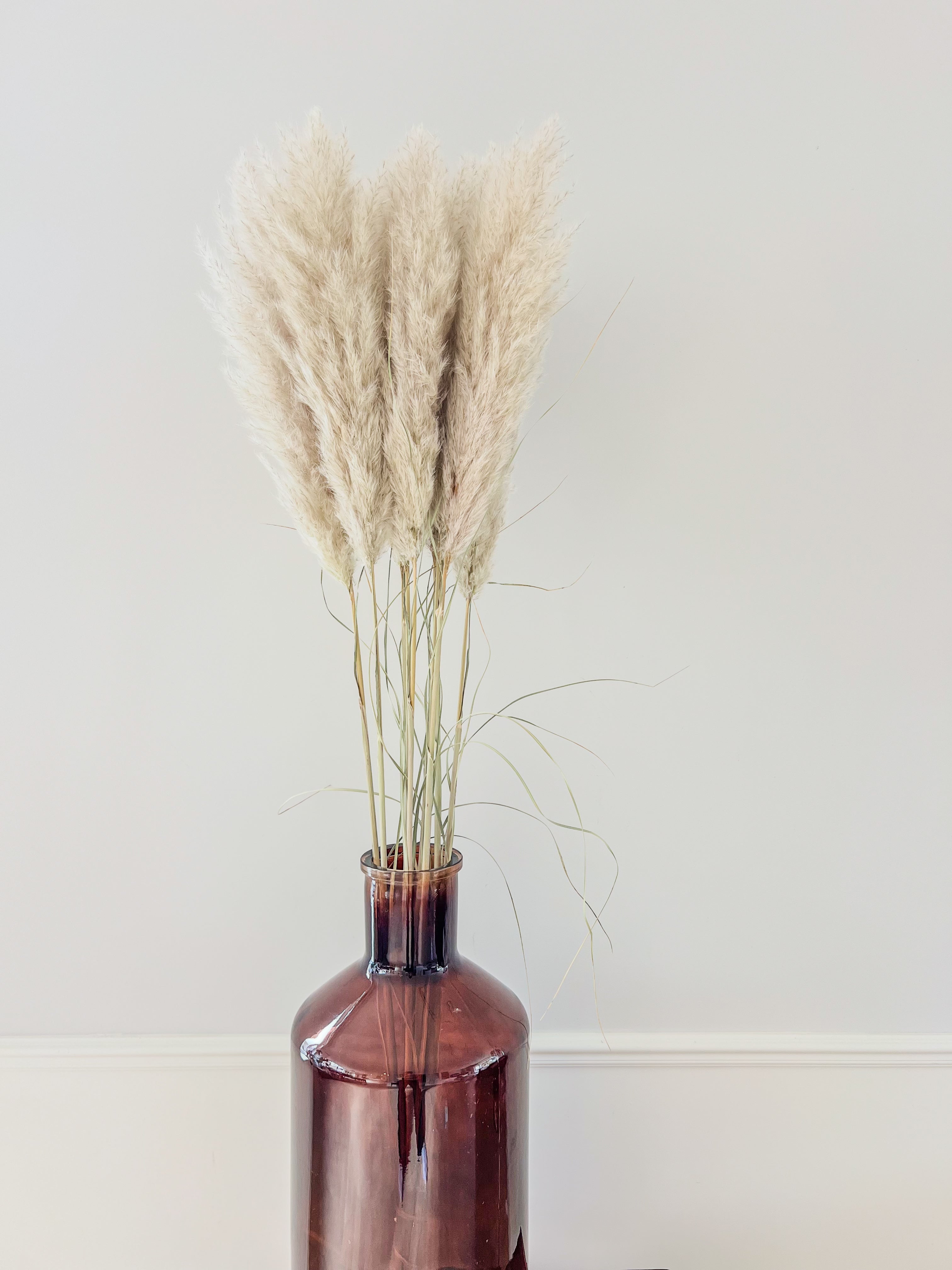 Naturel pampas pluimen klein formaat met veel volume