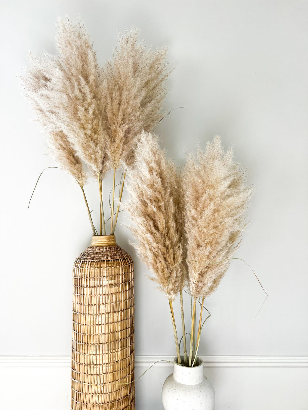 XL pampas pluimen fluffy in rieten en keramische vaas – Hollandse kwekerij