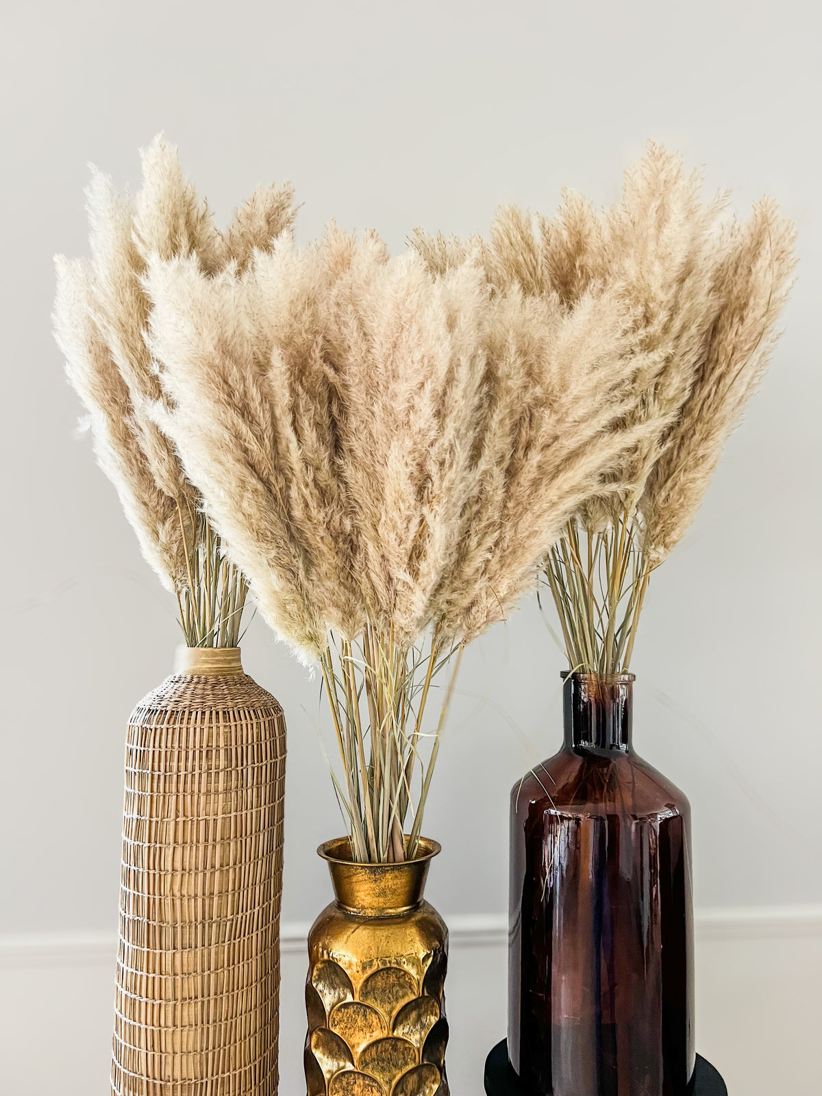 Fluffy pampas pluimen XL en kleine voor een sfeervol interieur