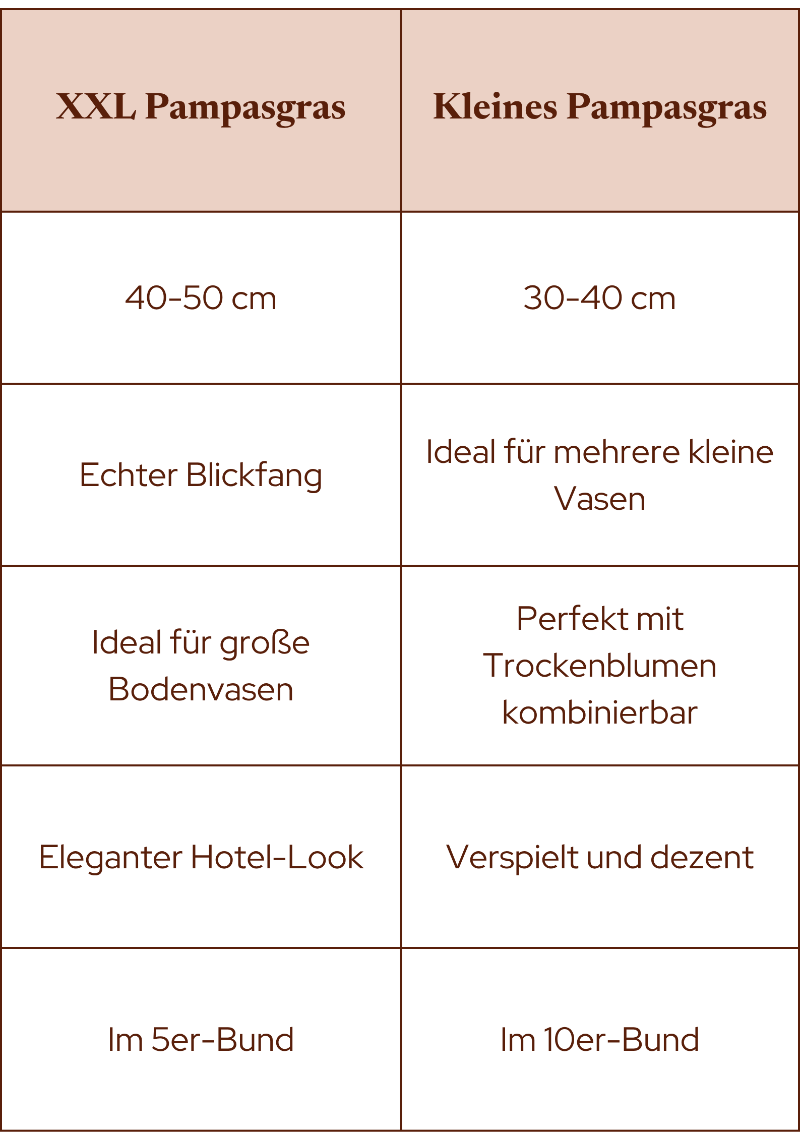 Vergleich zwischen XXL Pampasgras und kleinem Pampasgras aus unserer niederländischen Gärtnerei