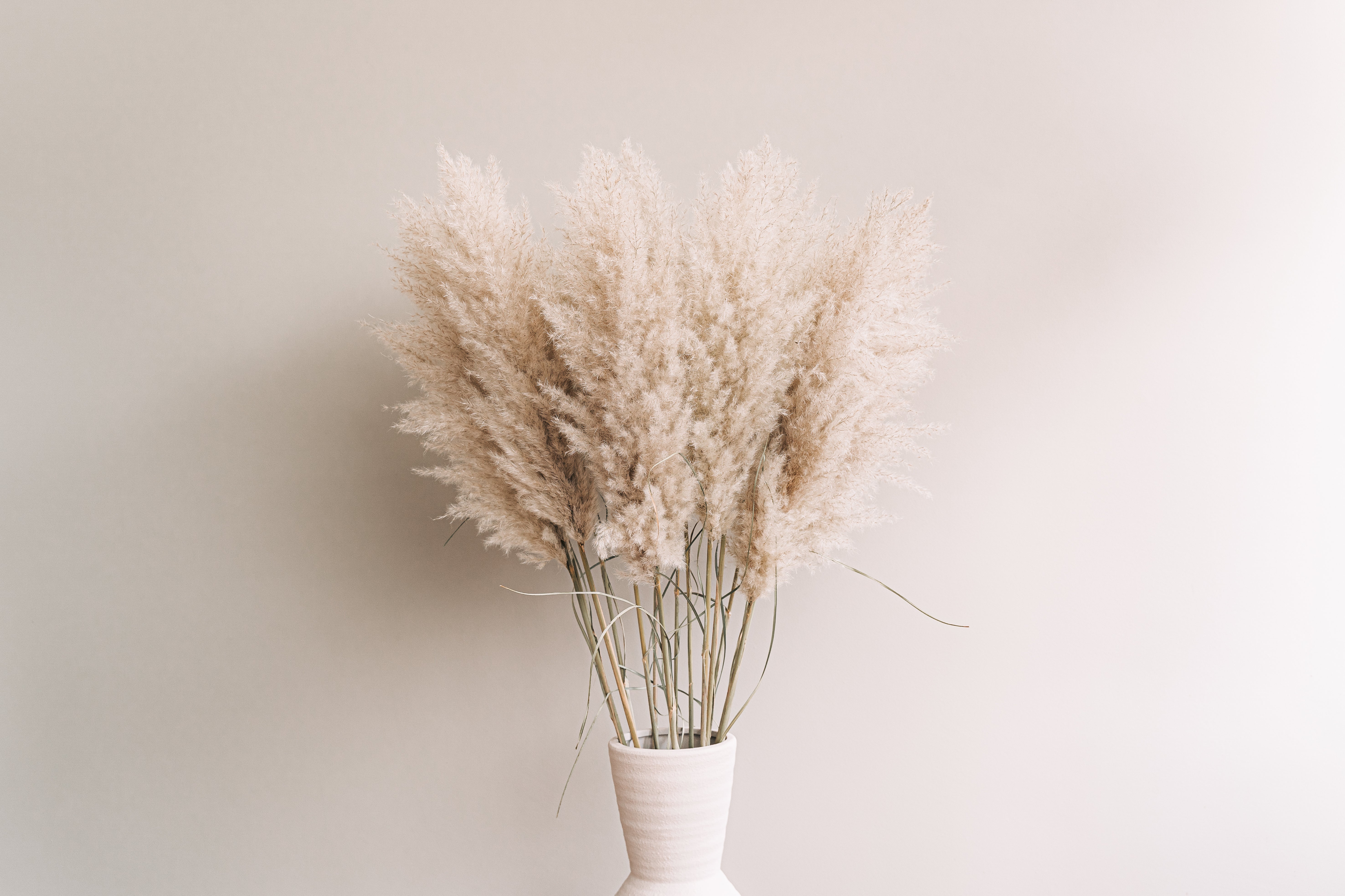 XL fluffy pampas pluimen in een beige vaas van Nederlandse kwaliteit